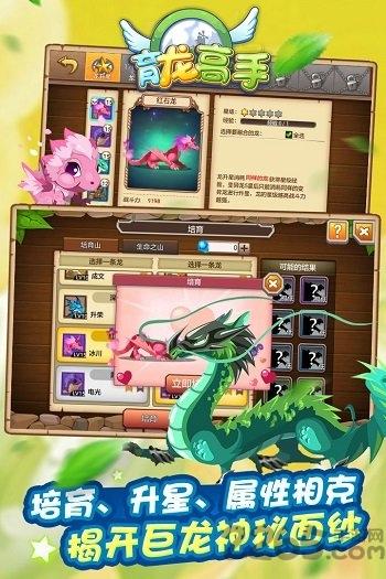 育龙高手oppo版本下载,经营手游,对战手游,oppo手游,育龙高手